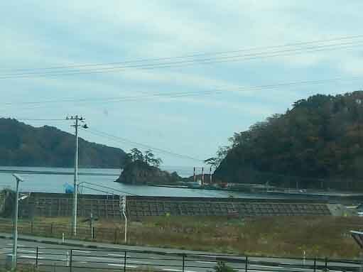 tomanohana-4.jpg