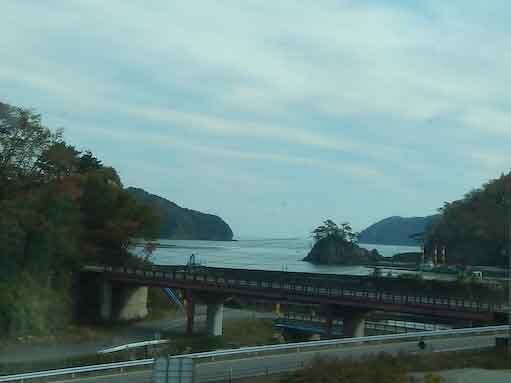 tomanohana-5.jpg