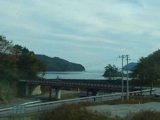 tomanohana-6.jpg