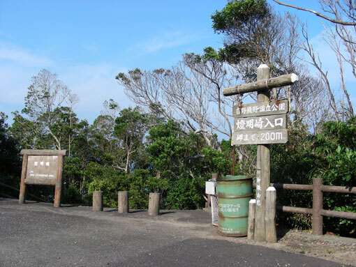 tomyozaki01.jpg