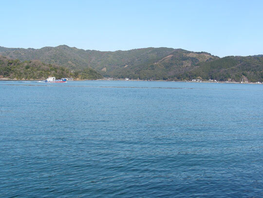 tora04.jpg