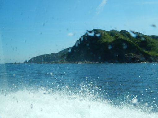 torisaki-6.jpg