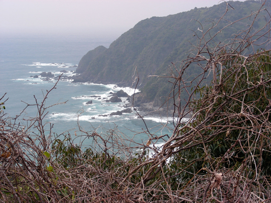 tsuzurazaki01.jpg