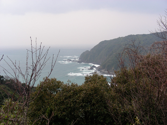 tsuzurazaki03.jpg
