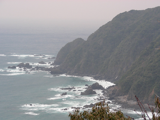 tsuzurazaki04.jpg