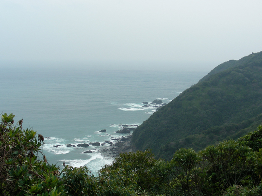 tsuzurazaki06.jpg