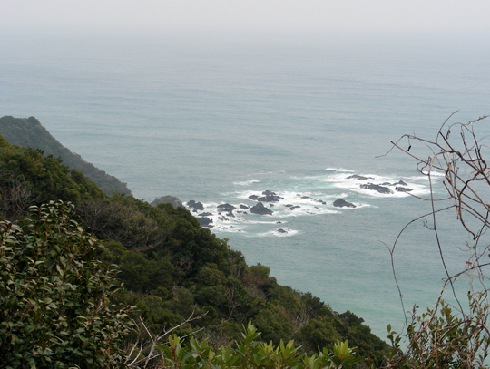 tsuzurazaki07.jpg