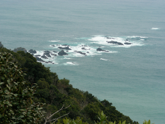 tsuzurazaki08.jpg