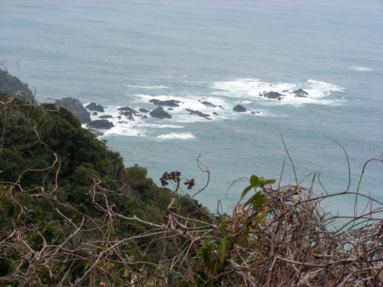 tsuzurazaki09.jpg
