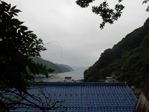 tunekamimisaki-1.jpg