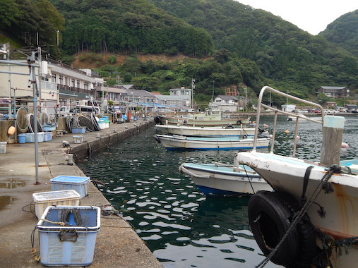tunekamimisaki-10.jpg