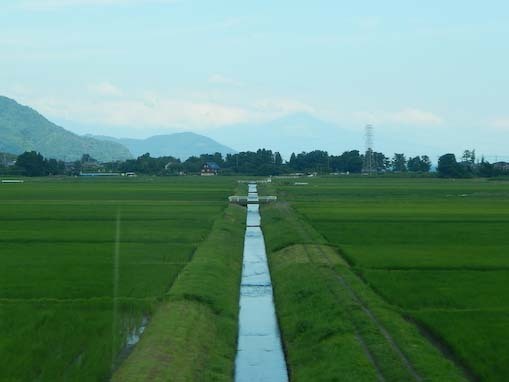 tuzuraozaki-3.jpg