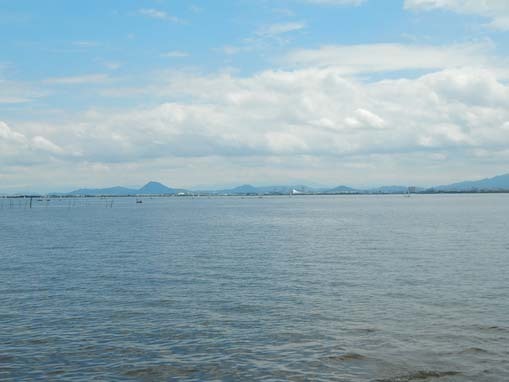 tyagasaki-11.jpg