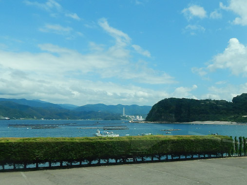 washizaki-2.jpg